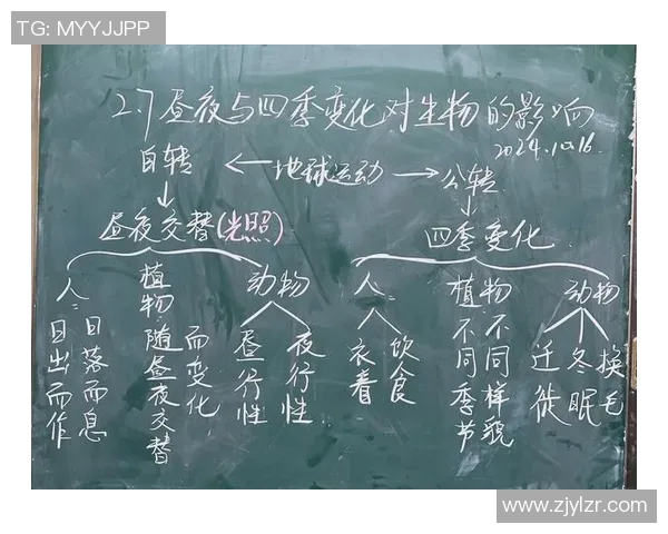 12月与5月的对比分析探讨不同季节对生活方式的影响与变化